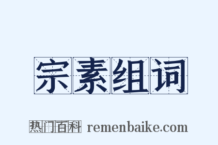 宗素组词是什么意思的图片